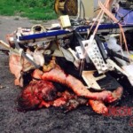 MH17 flight crash victim