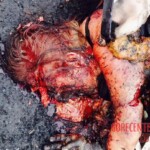 MH17 flight crash victim