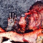 MH17 flight crash victim