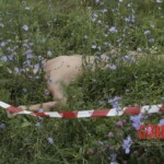 MH17 flight crash victim