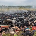 MH17 flight crash victim