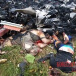 MH17 flight crash victim