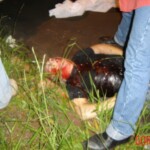 Man died after crashing into electric pole