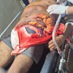 Man gored by bull during traditional festivities