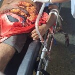 Man gored by bull during traditional festivities