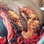 Man gored by bull during traditional festivities