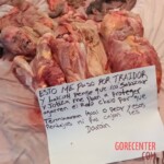 Skinned remains of traitor cartel member