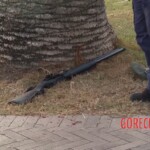 Terrorist attack on Bondi Beach in Sydney