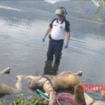 Three bodies found in lake in Guatemala