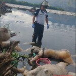 Three bodies found in lake in Guatemala