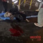 Young Chinese woman fatally hit by truck