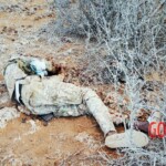 Al-Shabaab terrorists captured Somali island of Kudha