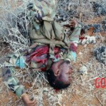 Al-Shabaab terrorists captured Somali island of Kudha