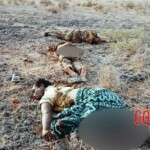 Al-Shabaab terrorists captured Somali island of Kudha