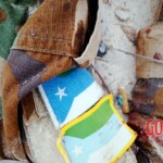 Al-Shabaab terrorists captured Somali island of Kudha