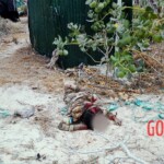 Al-Shabaab terrorists captured Somali island of Kudha