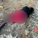 Al-Shabaab terrorists captured Somali island of Kudha