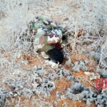 Al-Shabaab terrorists captured Somali island of Kudha