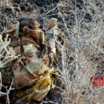 Al-Shabaab terrorists captured Somali island of Kudha
