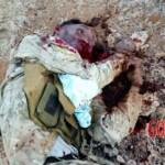 Al-Shabaab terrorists captured Somali island of Kudha