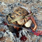 Al-Shabaab terrorists captured Somali island of Kudha