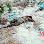 Al-Shabaab terrorists captured Somali island of Kudha