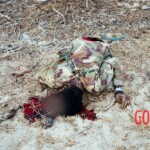 Al-Shabaab terrorists captured Somali island of Kudha