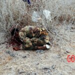 Al-Shabaab terrorists captured Somali island of Kudha