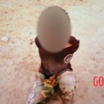 Al-Shabaab terrorists captured Somali island of Kudha