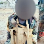 Al-Shabaab terrorists captured Somali island of Kudha