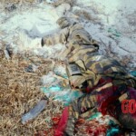 Al-Shabaab terrorists captured Somali island of Kudha