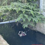 Corpse found in drainage canal