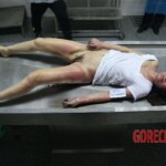 Female corpse found stuffed in freezer