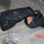 Female corpse found stuffed in freezer