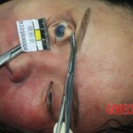 Female corpse found stuffed in freezer