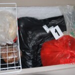 Female corpse found stuffed in freezer