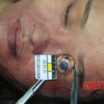 Female corpse found stuffed in freezer