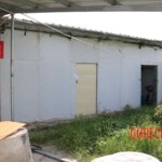 Female corpse found stuffed in freezer