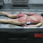 Female corpse found stuffed in freezer