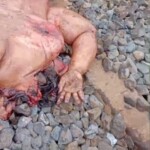 Indonesian woman ended her life by jumping in front of train