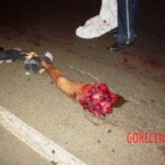 Man ended his life by jumping from high bridge