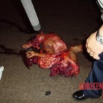 Man ended his life by jumping from high bridge