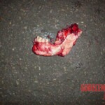 Man ended his life by jumping from high bridge