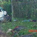 Two young Mexican bikers died in accident