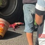 Vietnamese man ends it all by lying in front of moving truck