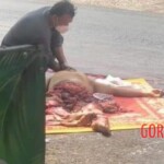 Vietnamese man ends it all by lying in front of moving truck