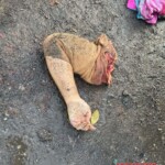 Dismembered body of woman found at garbage dump