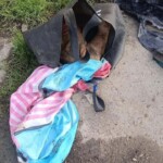 Dismembered body of woman found at garbage dump