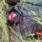 Government force soldiers killed by terrorists in Mozambique