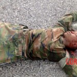 Government force soldiers killed by terrorists in Mozambique